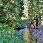 Pohorski Dom Couette-café