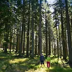 Pohorski Dom Panzió Hočko Pohorje
