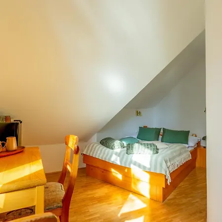 ベッド・アンド・ブレックファスト Pohorski Dom ホコ・ポホリェ