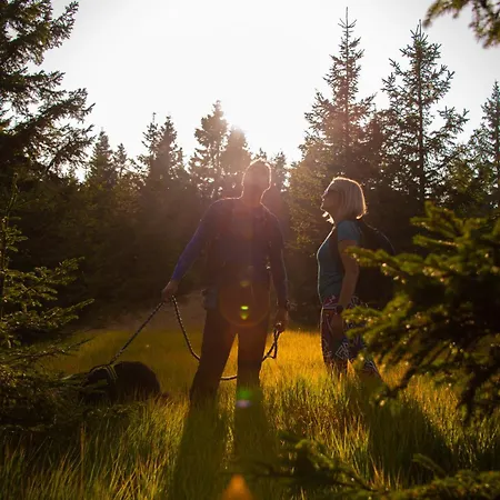 ベッド・アンド・ブレックファスト Pohorski Dom ホコ・ポホリェ