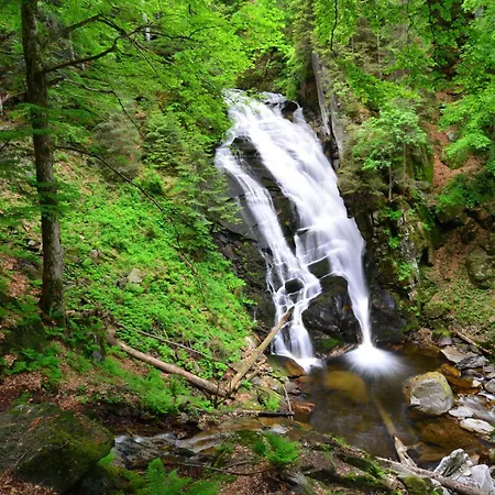 ベッド・アンド・ブレックファスト Pohorski Dom ホコ・ポホリェ