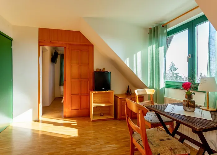 Pohorski Dom فندق مبيت وإفطار 3*