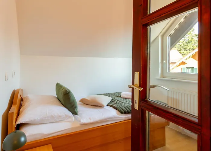 Bed & Breakfast Pohorski Dom