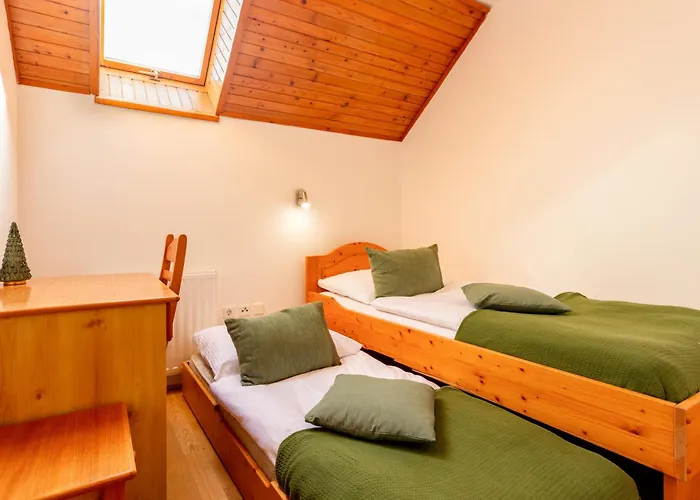 Pohorski Dom Bed & Breakfast 3*