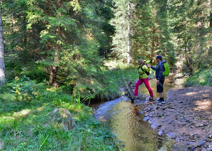 Pohorski Dom Bed & Breakfast