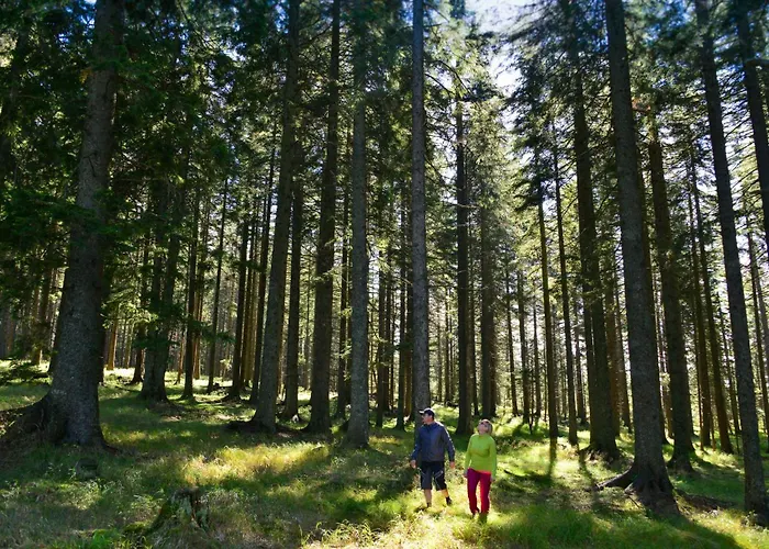 Pohorski Dom فندق مبيت وإفطار Hočko Pohorje