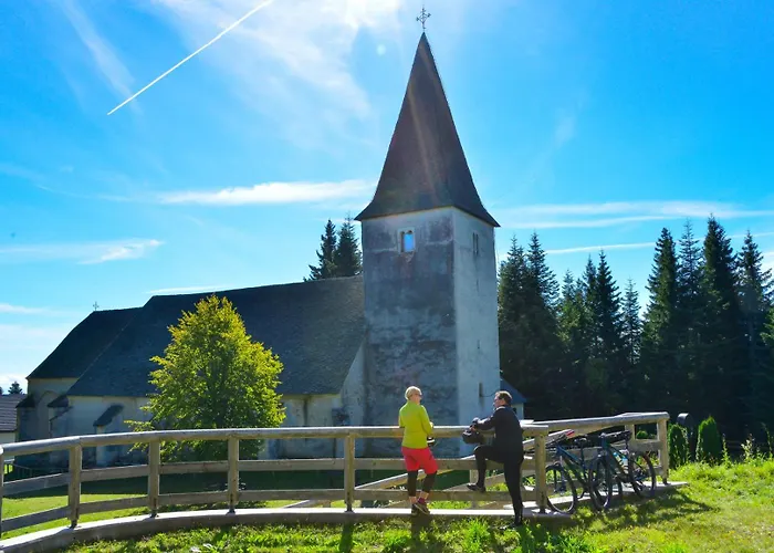 Bed & Breakfast Pohorski Dom