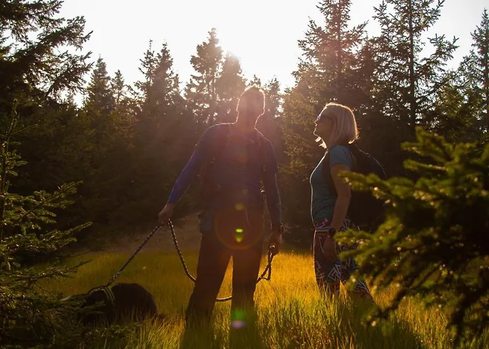 Bed & Breakfast Pohorski Dom Hočko Pohorje