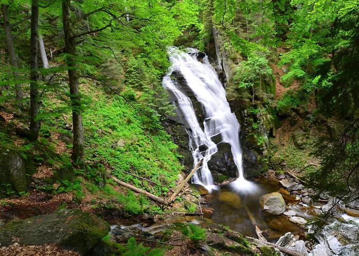 فندق مبيت وإفطار Pohorski Dom Hočko Pohorje